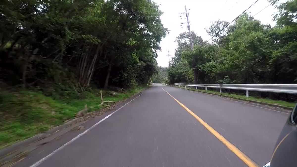 初めて逆走車と遭遇した。  本気で死ぬと思った、、