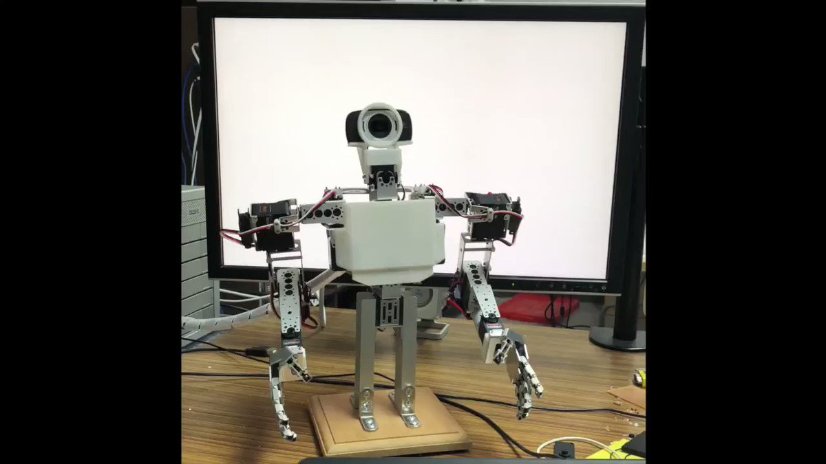 かっこいいポーズをキメる上半身ロボットをつくったよ Dream Drive