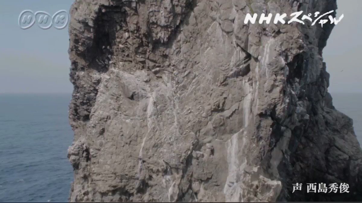 大海原にそびえる巨大な岩の柱 孀婦岩 へ初の科学調査に挑み 正体の知れない生きものが岩の隙間から次々と Nhkスペシャル Togetter 大海原にそびえる巨大な岩の柱 孀婦岩 へ初の科学調査に挑み 正体の知れない生きものが岩の隙間から次々と Nhkスペシャル Togetter