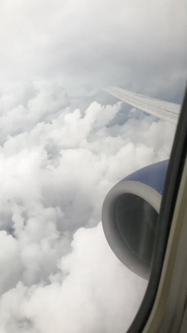 Volando esta mañana, a pesar de la tormenta, casi desisto pero me hice la valiente ?? y salió todo bien