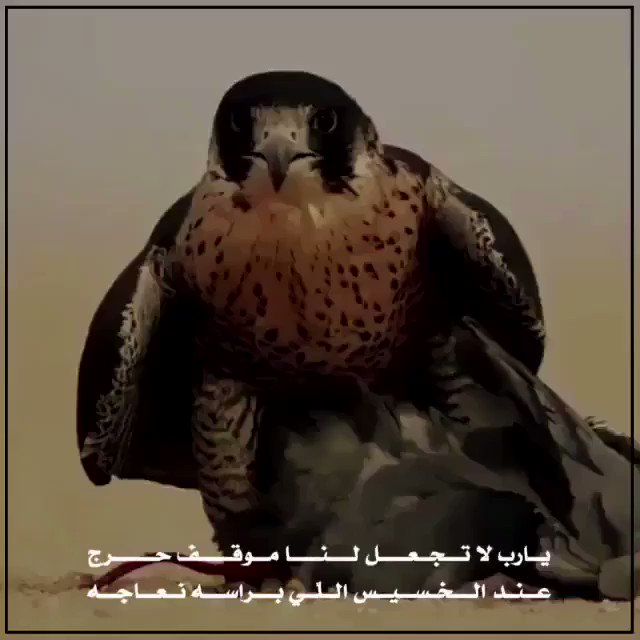 يارب لا تجعل لنا موقف حرج