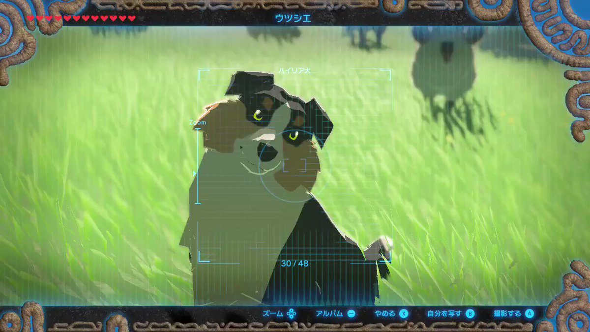 星夜るえ ゼルダの伝説 Breathofthewild Nintendoswitch ハイリア犬モーションの種類も多くて可愛い過ぎ ずっと見てられる あくびだけじゃなく くしゃみもするんだね