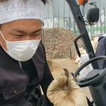 楽しそう。変な虫にツボってしまう男達