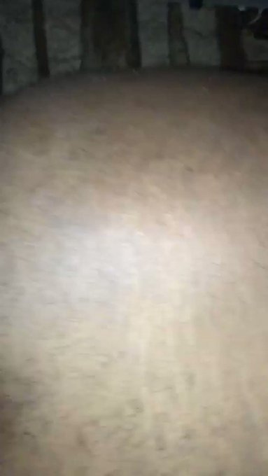 He going bananas in my shit while I tweet this https://t.co/1cxuLXP9m7