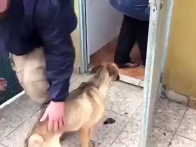 Прапорщик Zадоff (@DmitLibero) on Twitter photo 11/11/2018 13:02:40 Живите,Радуйтесь и будьте Человеками. Живите,Радуйтесь и будьте Человеками.