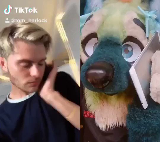 tom (@tom_harlock) on Twitter photo 11/10/2018 18:44:09 new video: What’s wrong with TikTok? youtu.be/r680tLrFdLk new video: What’s wrong with TikTok? youtu.be/r680tLrFdLk