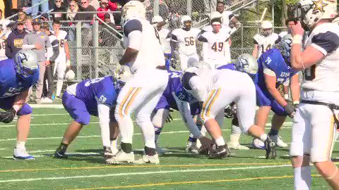 Sfcougars Sfcougars