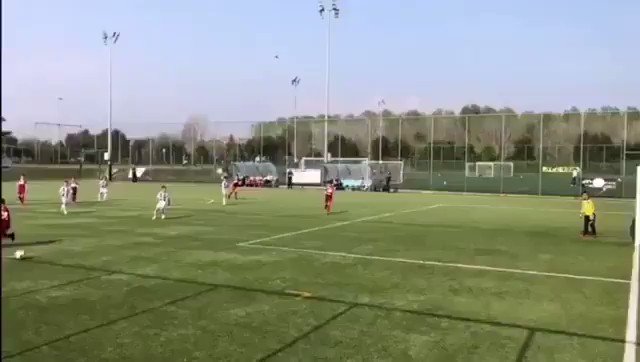 Встроенное видео