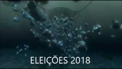 Daniel (@danielbismarck) on Twitter photo 17/10/2018 18:25:14 que vídeo precioso que vídeo precioso