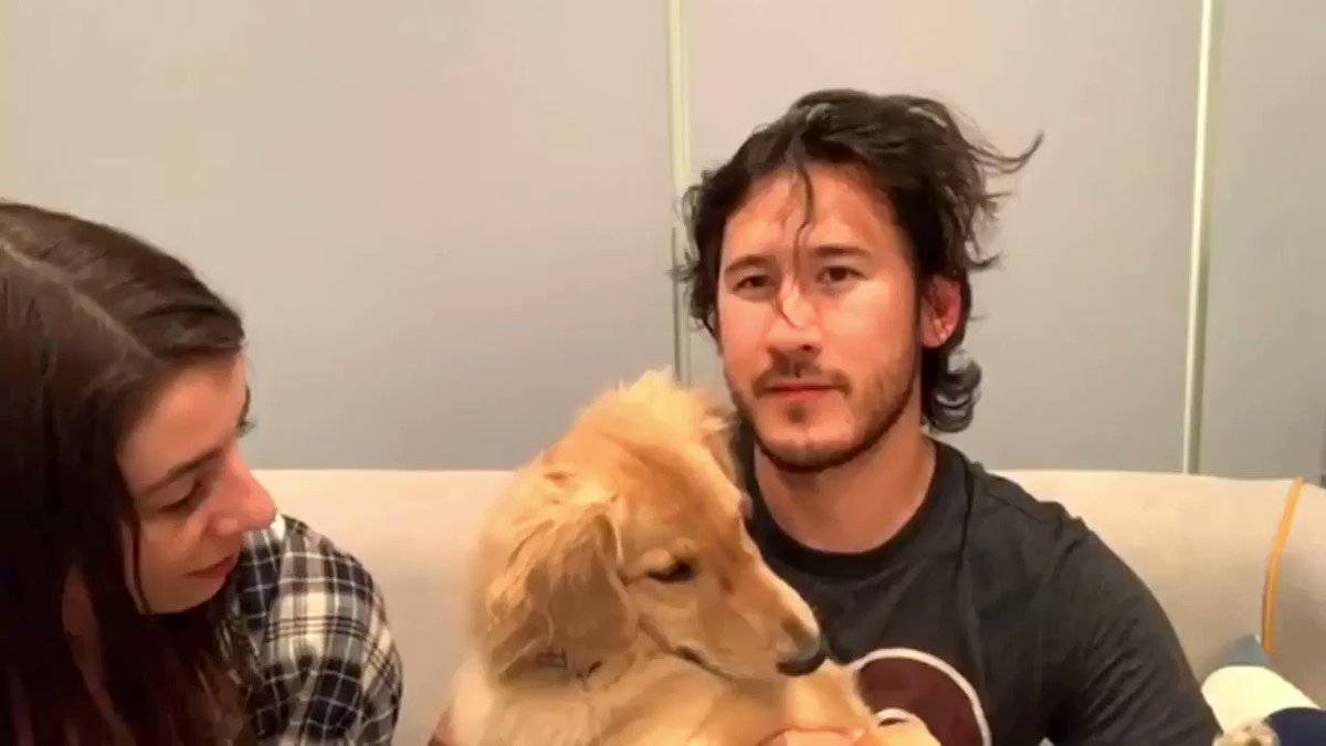 Cinn (@cheekabeeeka) on Twitter photo 17/10/2018 05:31:04 snuggly pup ❤️ @markiplier @iceddarkroast snuggly pup ❤️ @markiplier @iceddarkroast