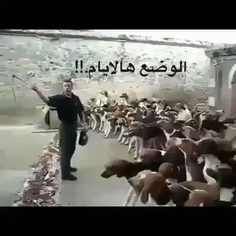 #السعودية_العظمى
الله يطول بعمر ملكنا وولي عهده
#الملك_سلمان
#محمد__بن_سلمان
وتبقى شامخه
بلد الحرمين الشريفين