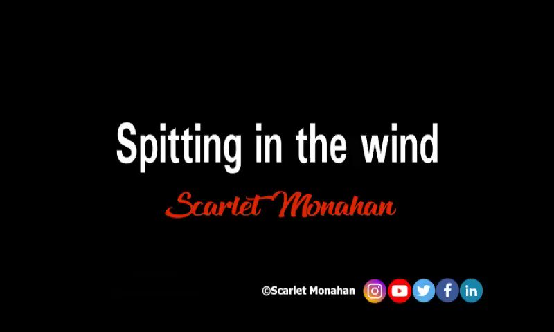 Spitting in the wind. #poem #poetry #poet #audio #art #words #wordsmith #poetrypublisher #artist #writer #BookWorm #publisher #scarletmonahan #publishing #seagull #gulls 35
