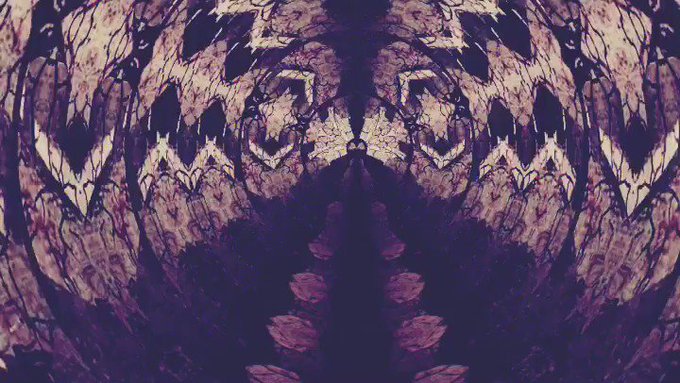 Michael Atlas’s pics and videos