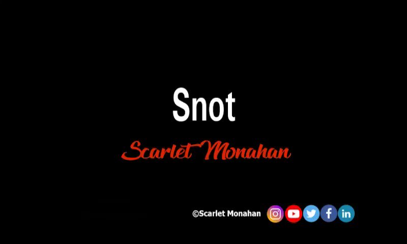 Snot. #poetry #poet #writer #art #poetrycommunity #poetrywriter #ScarletMonahan #love #words #snot 5