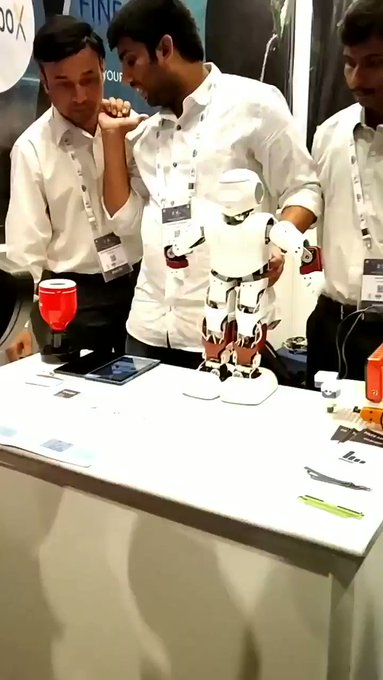 Indian Made Robot