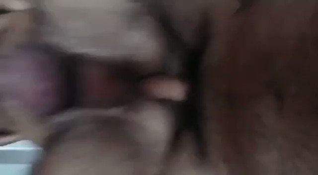 Joe Martez’s pics and videos