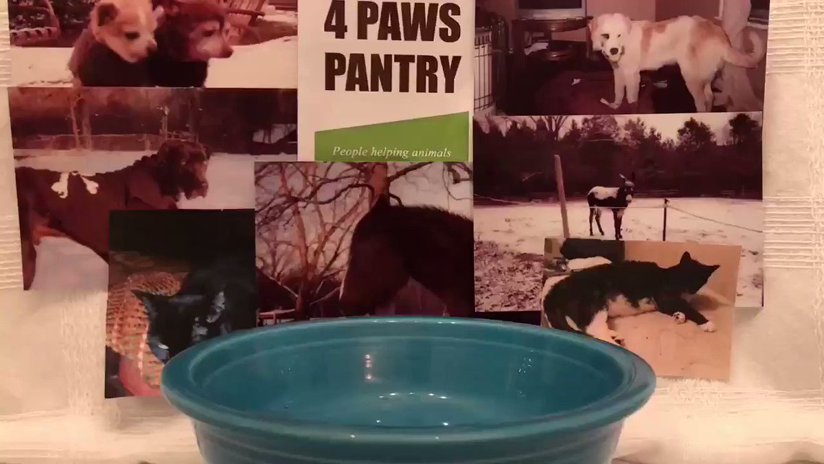 4 Paws Pantry Tn On Twitter Askmrfrisky Pls Share