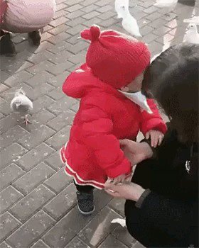 や、優しくね…ｗｗｗ小さい子が鳩を片手でガシっと掴む姿にビックリです！