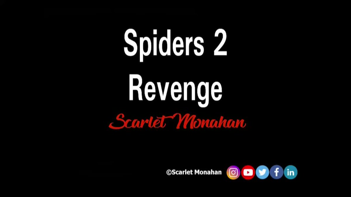 Spiders.. Revenge. #poetry #poet #writer #art #poetrycommunity #poetrywriter #ScarletMonahan #love #words #spiders #spider #spidersweb 32
