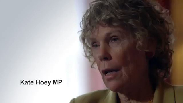 Kate Hoey and David Davis admitted before the referendum that they didn't understand how the EU works.