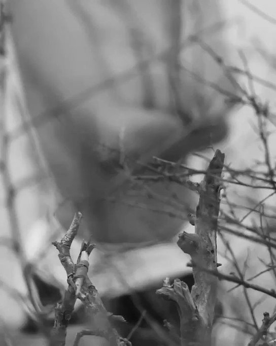 🖤🖤🖤 https://t.co/f9eJl7MrJG<a href="/tag/bts"class="tags"><span>#bts</span></a><a href="/tag/sneakpeak"class="tags"><span>#sneakpeak</span></a>