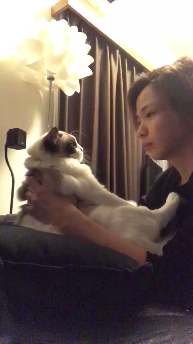 キスを嫌がる彼女猫 話題の画像がわかるサイト