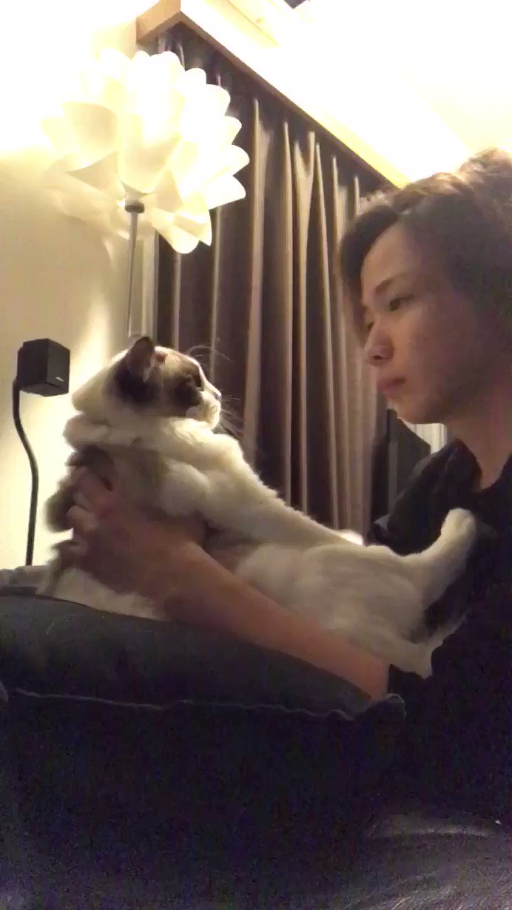タケヤキ翔 ラトゥラトゥ キスを嫌がる彼女猫 T Co Fjt1zxyxn3 Twitter