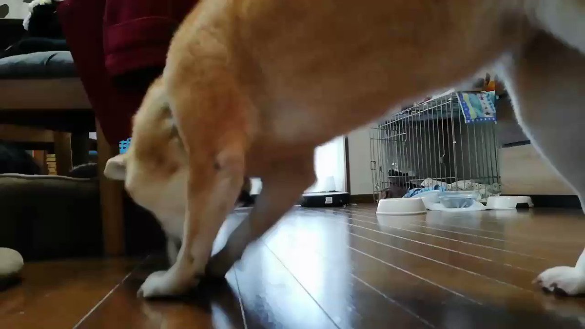 不意打ちにやめてwww突然の行動過ぎてビックリwww