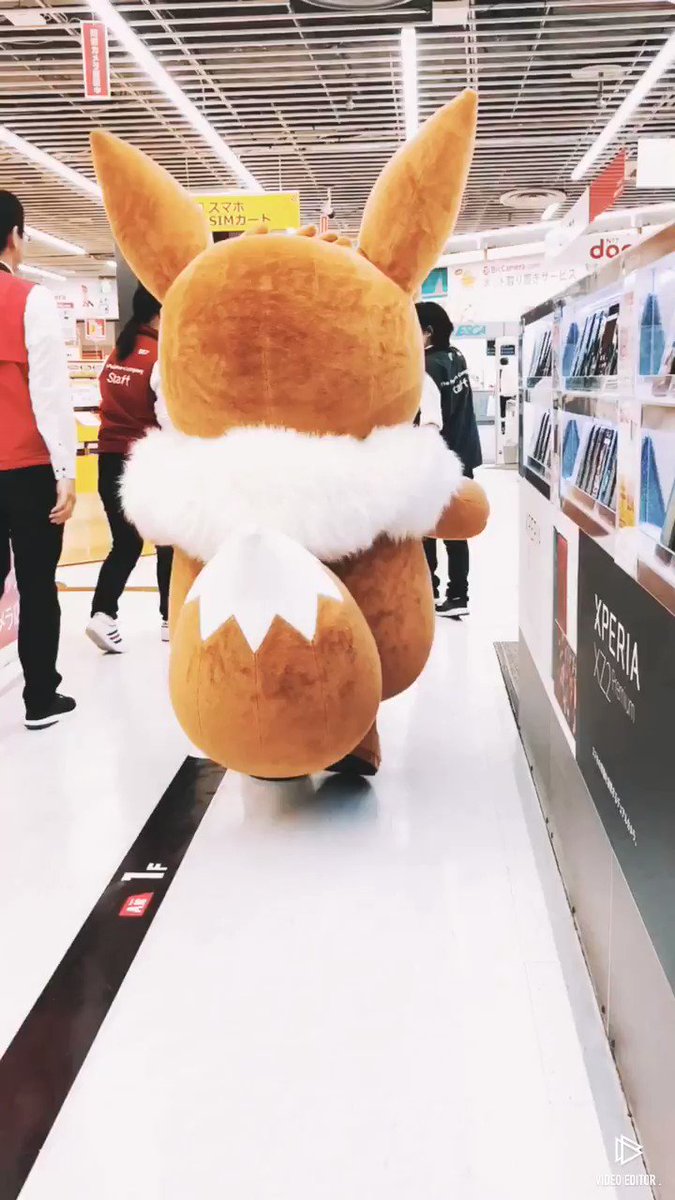 @bic_nagoya's video Tweet