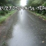 お客様〜、無賃乗車はおやめくださ〜い! 猫が勝手に懐に!