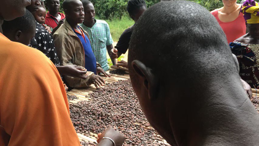 What do cocoa farmers want in sustainability? http://ow.ly/GUiM30mBZgh
