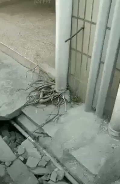 Невероятно, но Факт! (@best_fact) on Twitter photo 15/11/2018 00:56:36 Немыслимо. Все таки природа удивительна! Немыслимо. Все таки природа удивительна!