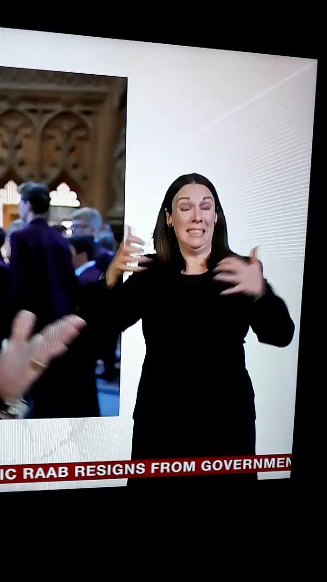 The sign language interpreter doing the Brexit Agreement on BBC News is perfectly conveying the perplexing fuckery of this situation #Brexit #BrexitChaos