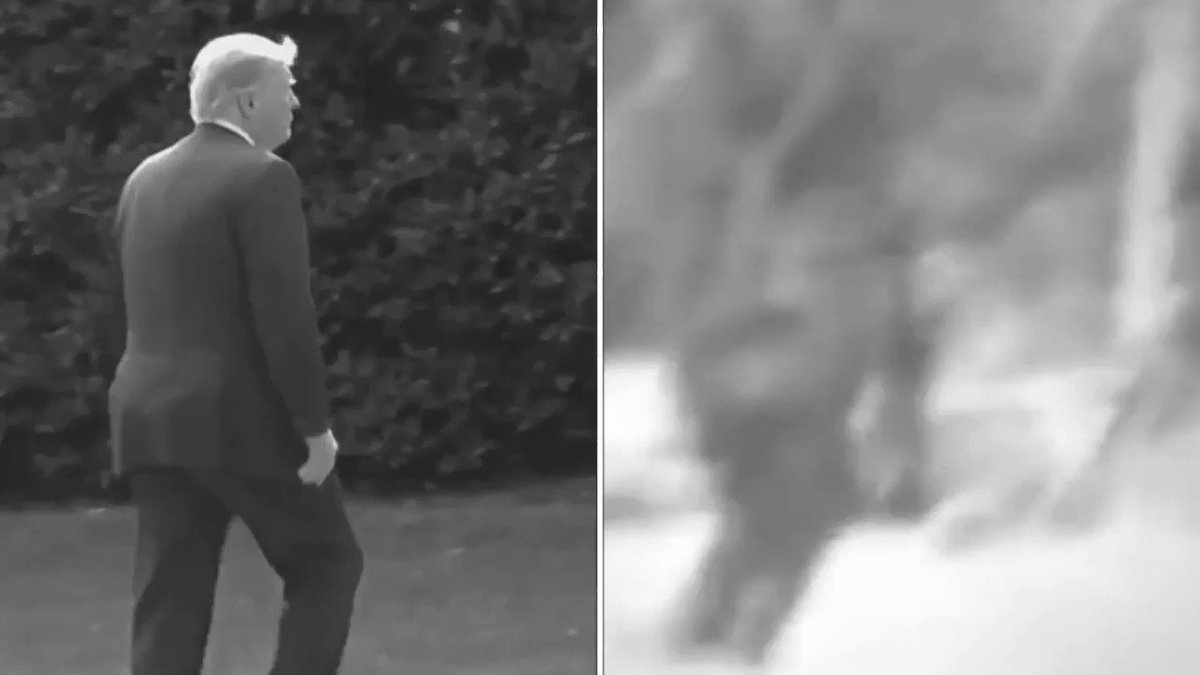 Impeach Bigfoot