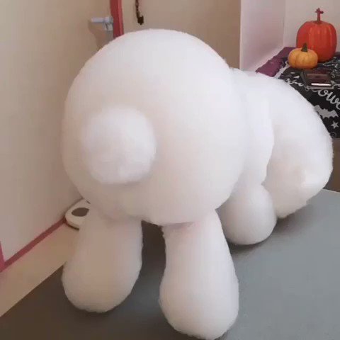 媒体预览