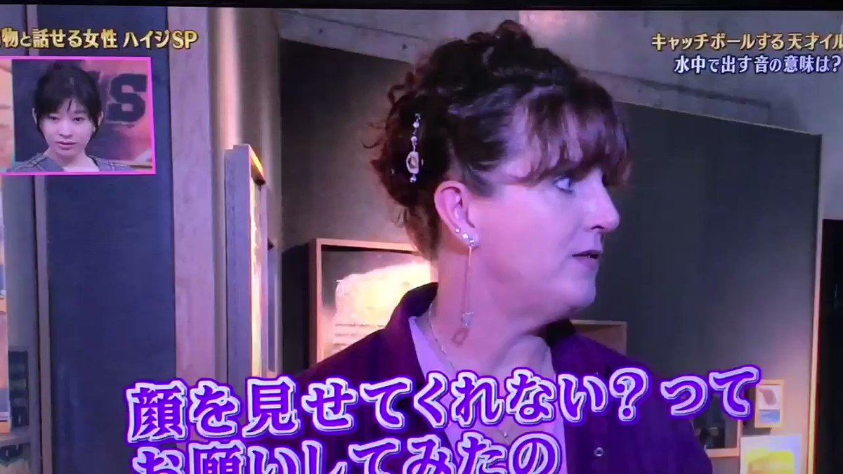 天才 志村どうぶつ園で どうぶつの森 が話題に トレンドアットtv