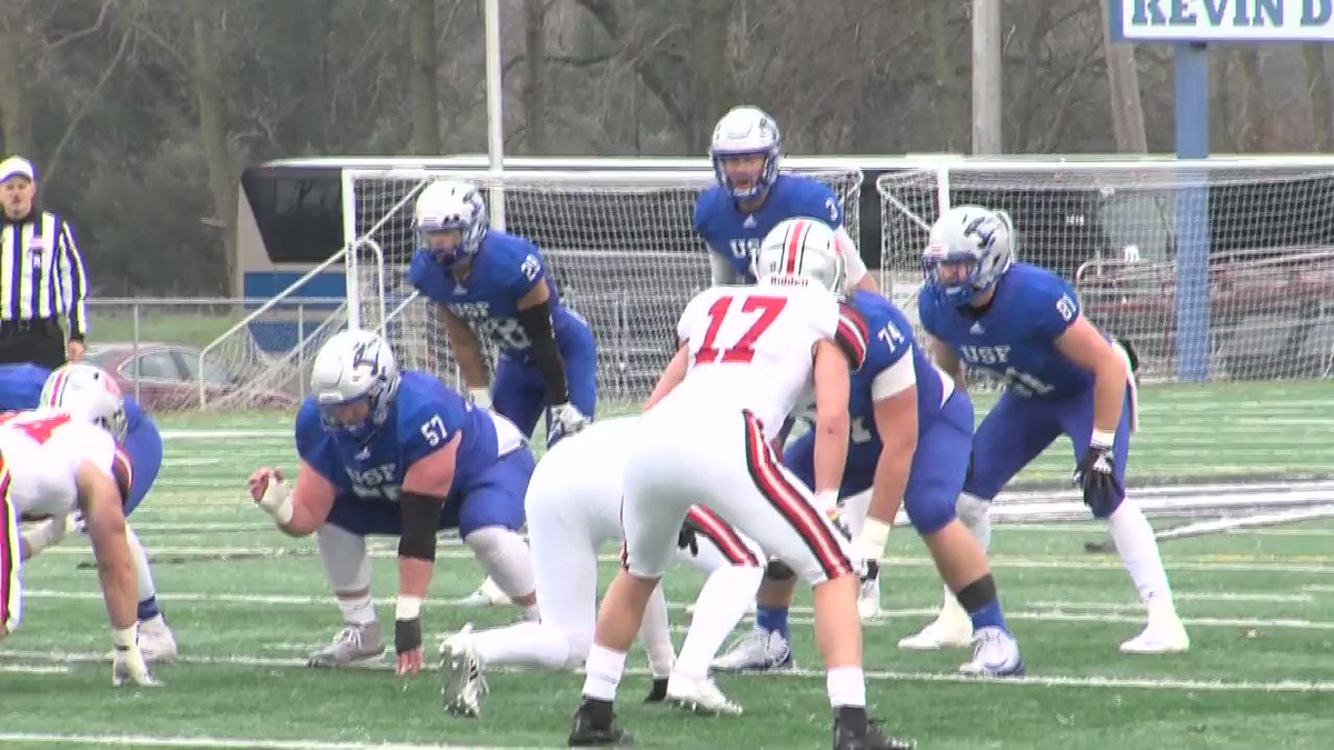 Sfcougars Sfcougars