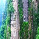 中国ってスゴいwこんな所にエレベーター!？まるで絶叫マシーンだな・・・