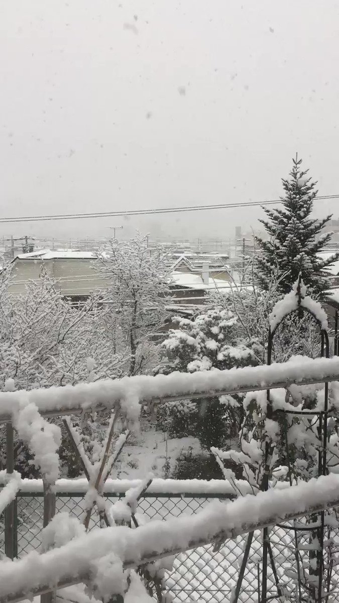 https://pbs.twimg.com/ext_tw_video_thumb/1065023367340642304/pu/img/k9SA4ocQKBhDhzAx.jpg