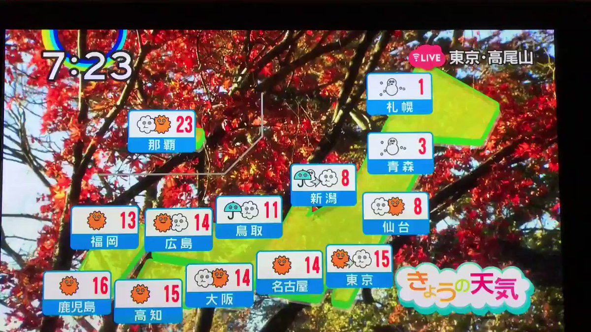 18年11月23日 Zipで 高尾山 が話題に 2ページ目 トレンドアットtv 18年11月23日 Zipで 高尾山 が話題に 2ページ目 トレンドアットtv