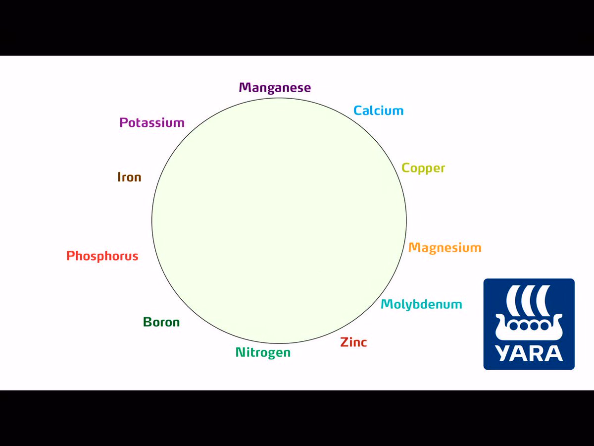 Mulder S Chart Of Nutrient Interaction