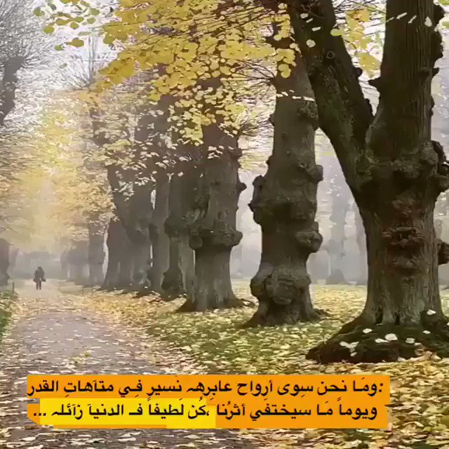 كٌن لطيفاً .. فـ الدٌنيا زائله 🍂 '