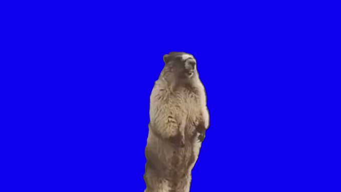ちゃちゃはらさん の人気ツイート 1 Whotwi グラフィカルtwitter分析 ちゃちゃはらさん の人気ツイート 1 Whotwi グラフィカルtwitter分析