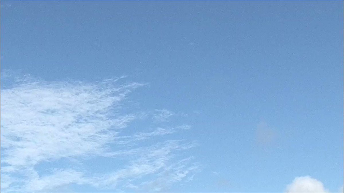 千原兄弟 千原ジュニア 千原せいじ お笑い芸人大百科