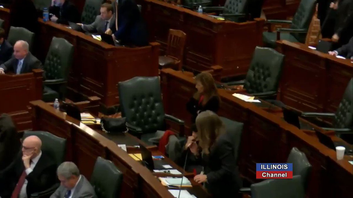 Illinois Democratic Rep. Stephanie Kifowit calls for the deaths of GOP Rep. Peter Breen's family: "I would like to make him a broth of Legionella and pump it into the water system of his loved ones so that they can be infected...they can sit and suffer...and ultimately die"
