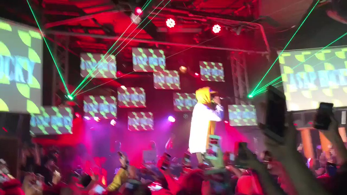 @neoncattraining's video Tweet