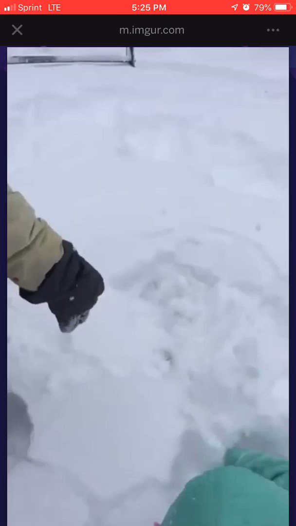 Lloyd Legalist (@LloydLegalist) on Twitter photo 03/12/2018 15:03:18 Oh, the beauty of seeing a Canadian baby being born. Oh, the beauty of seeing a Canadian baby being born.