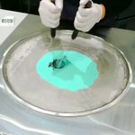 人気のロールアイスを作る様子が見れる!手さばきが気持ちいい!