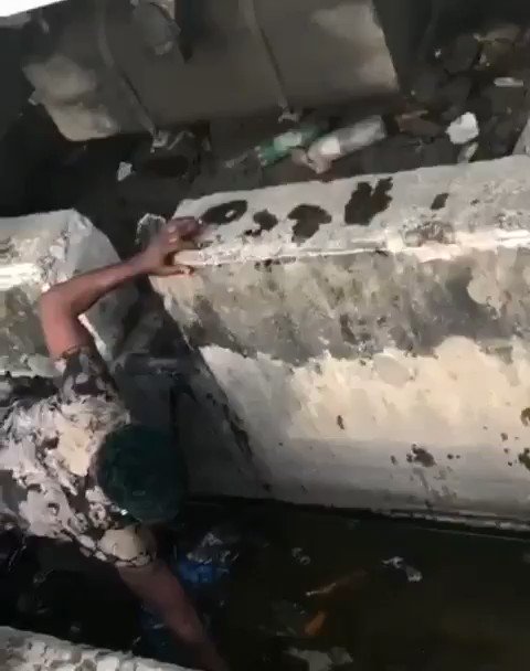 Embedded video