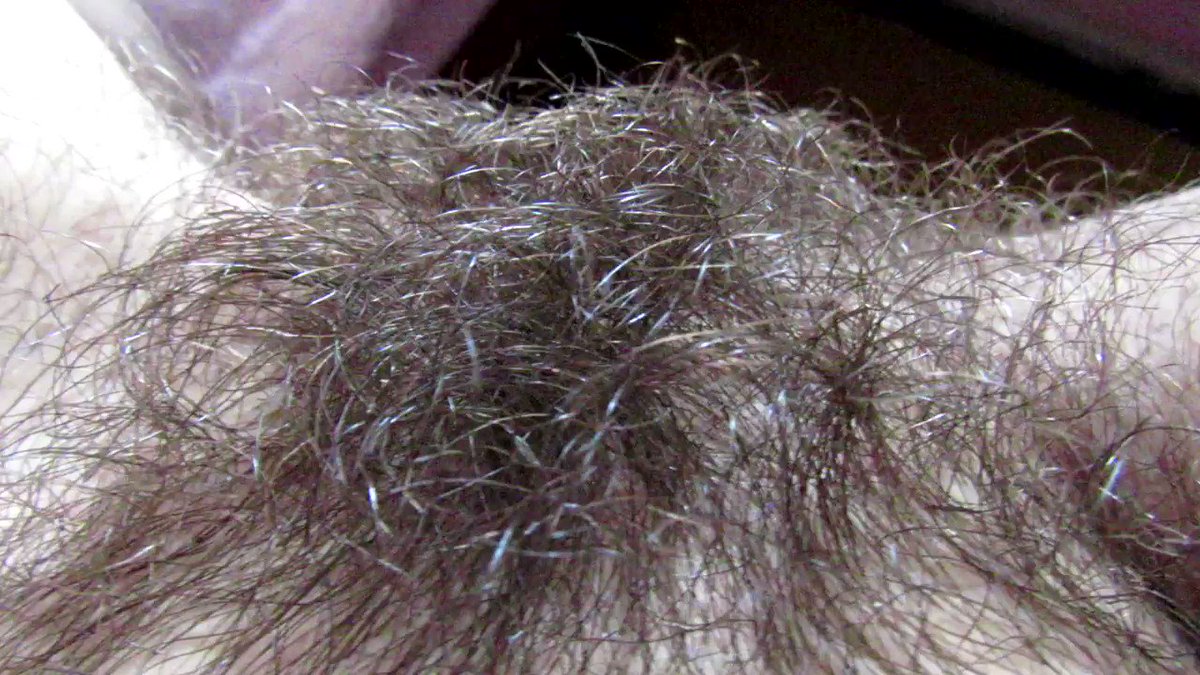 Cuteblonde666 On Twitter Sooo Hairy 😍 Hairy Hairybush Hairypussy 